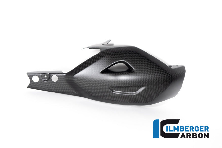 Schwingenschutz Ducati Diavel V4 ab 2023 matt