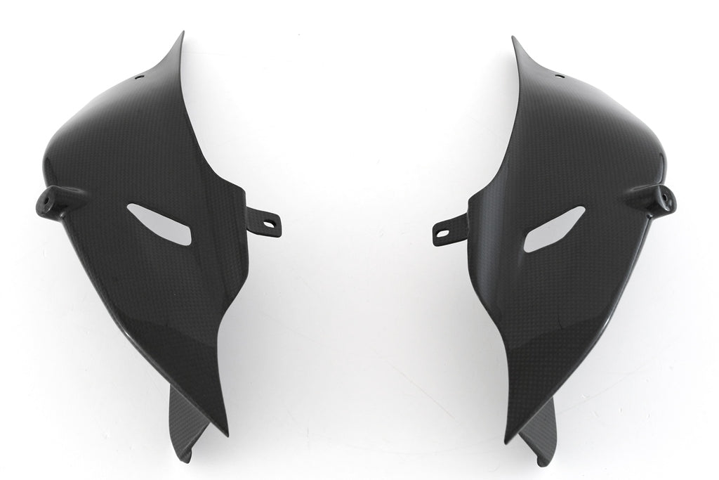 MD-V4R6-C59 MITTLERE + UNTERE HECKABDECKUNG - RACE für DUCATI V4/S 2025