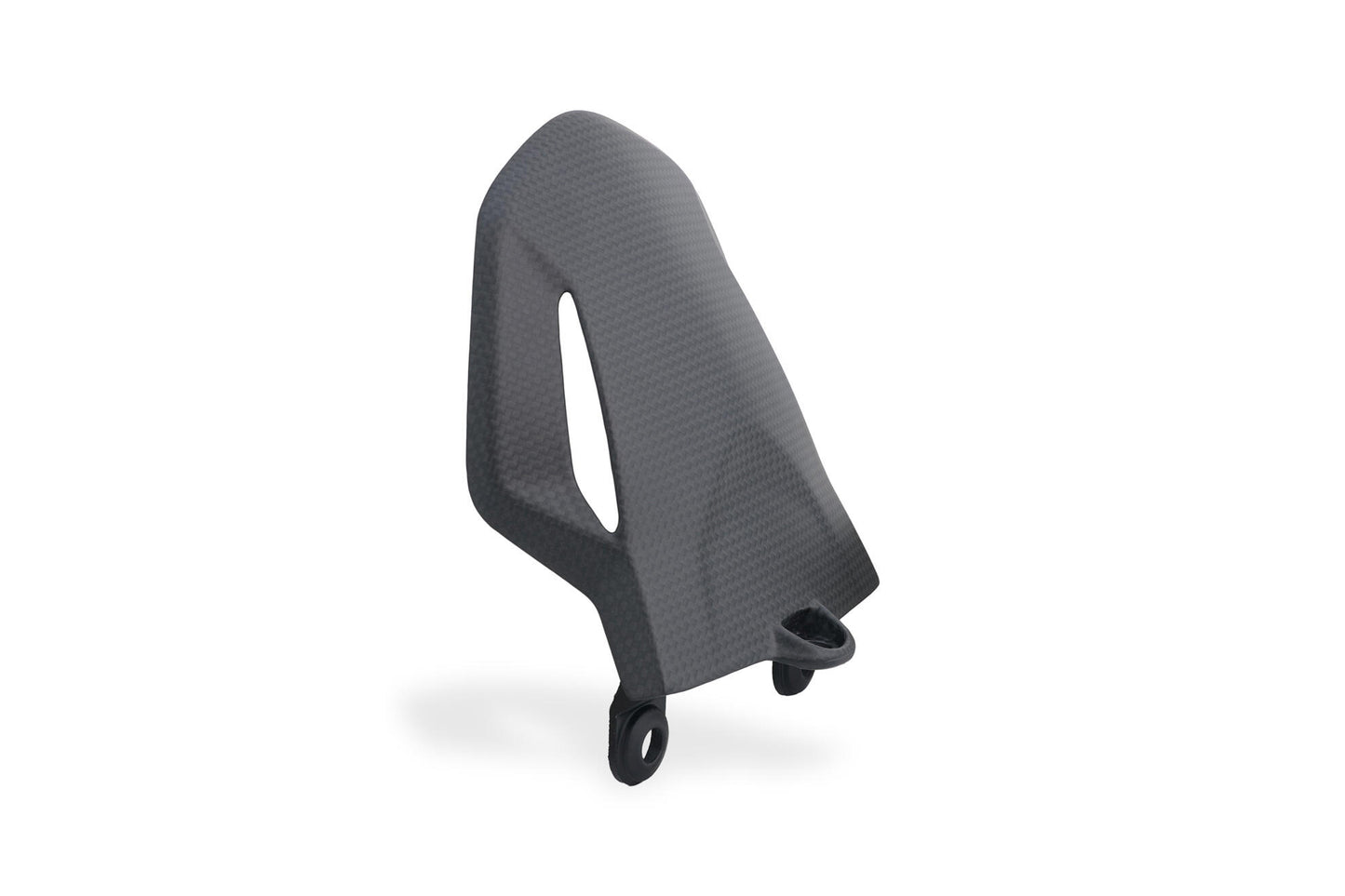 Carbon Radabdeckung hinten Ducati Hypermotard 698 Mono