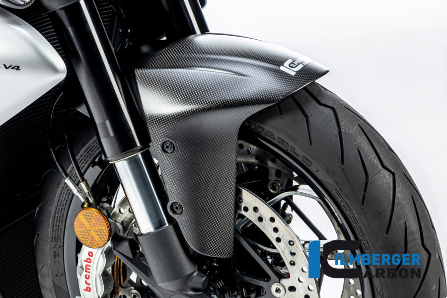 Front fender Ducati Diavel V4 from 2023 matt