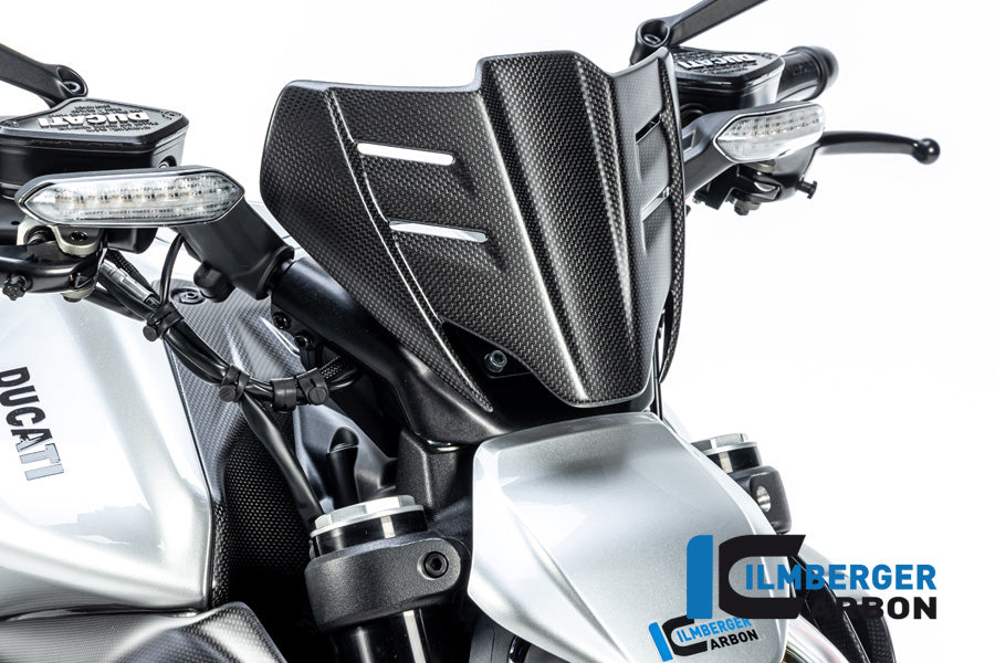 Windschild Ducati Diavel V4 ab 2023 matt