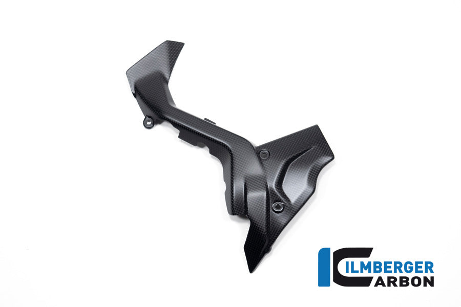 Ritzelabdeckung Ducati Diavel V4 ab 2023 matt
