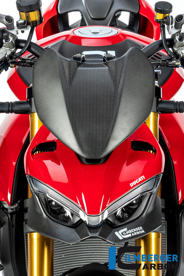 Verkleidung Oberteil - unteres Teil matt V4 Streetfighter