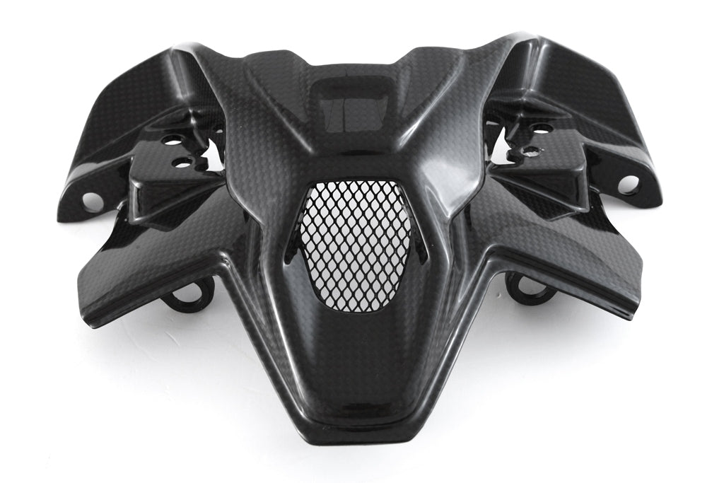 FULLSIX CARBON INNER HEADLIGHT FAIRING