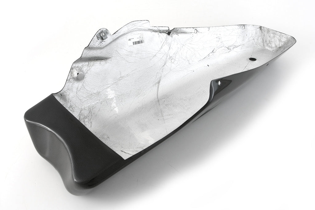 MD-V4R6-S41 BUGSPOILER - RACE für DUCATI V4/S- 2025