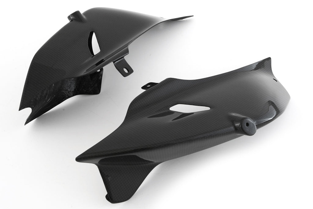 MD-V4R6-C59   MITTLERE + UNTERE HECKABDECKUNG - RACE für DUCATI V4/S 2025