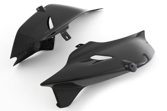 MD-V4R6-C59   MITTLERE + UNTERE HECKABDECKUNG - RACE für DUCATI V4/S 2025