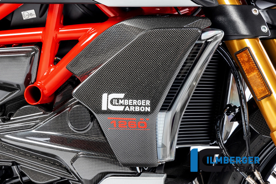 Radiator cover glossy or matt Diavel 1260